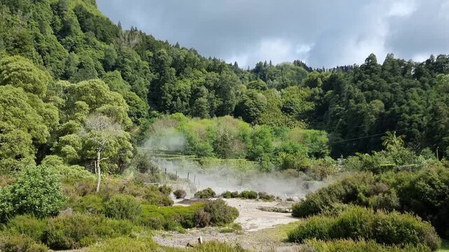 Furnas, Azores, Lagoa do fogo.  Steaming geothermal field with mineral ground and surrounding forest.