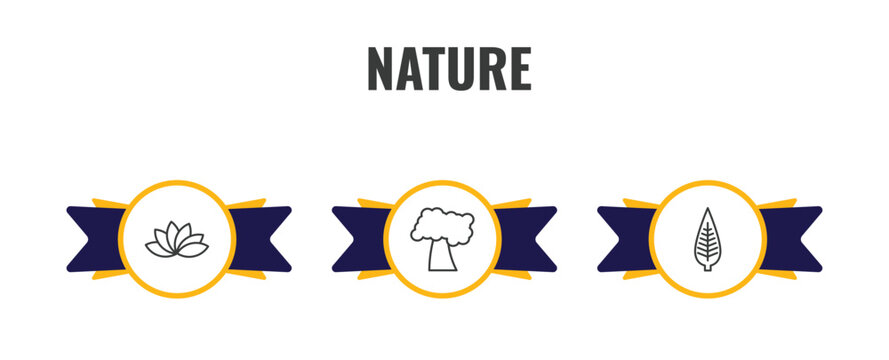 nature outline icon set. thin line protea, black cherry tree, lanceolate icons. editable vector