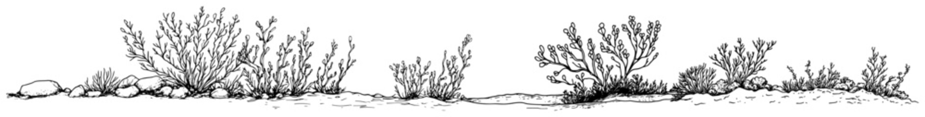 Wild desert bushes and shrubs along a rocky ground in vintage engraving style © Kaz