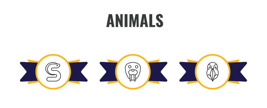 animals outline icon set. thin line eel, walrus, deadlock icons. editable vector
