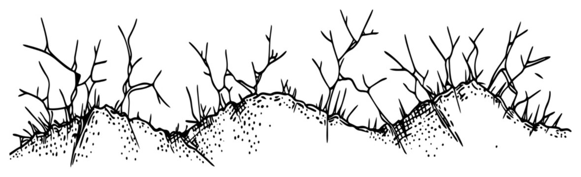 Sandy hills with dry leafless branches and thorns in hand drawn sketch style
