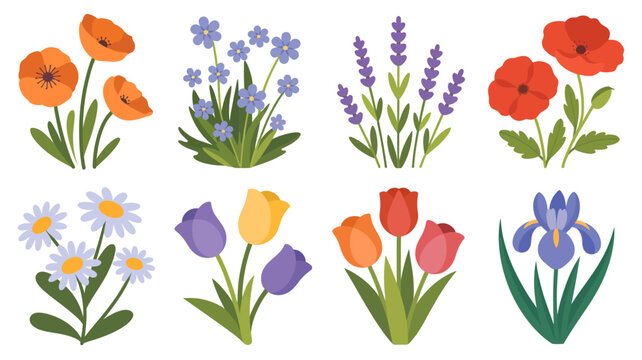 Collection of colorful floral illustrations featuring poppies lavender tulips and daisies on a white background