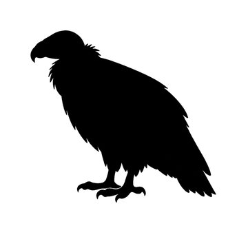 Vulture silhouette against a white background detailed bird profile view