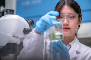 Fototapeta premium Asian female scientist working in lab doing research with Hantavirus pandemic crisis