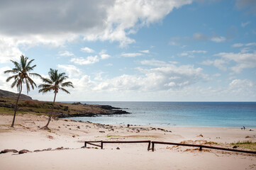 Fototapeta premium Palm tree landscape and white sand beach at Anakena, Easter Island