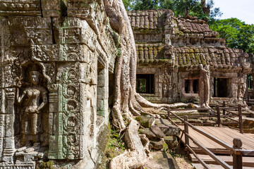 Fototapeta premium A beautiful view of Ta Prohm's Ruins in the Angkor Thom Complex