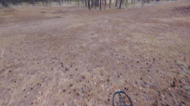 The guy with the metal detector finds some coins. The search engine scans the earth with a metal detector. The process of finding a treasure with money. From the first person.