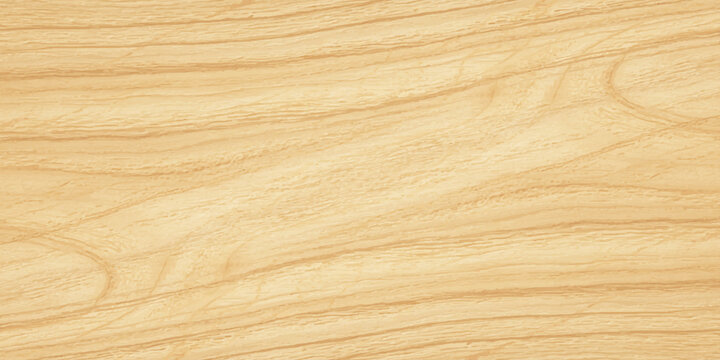 Natural light ash wood grain texture background, smooth wooden panel surface with organic wave patterns and copy space