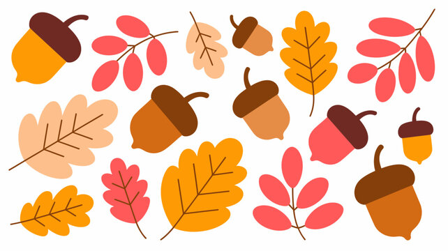 autumn leaves and acorns pattern flat vector illustration with warm colors on white background