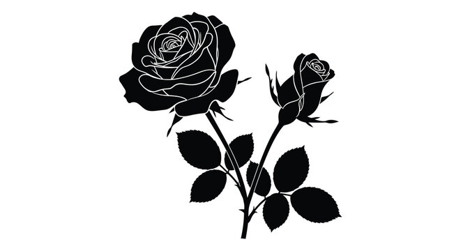Two rose blooms with stems and leaves silhouette