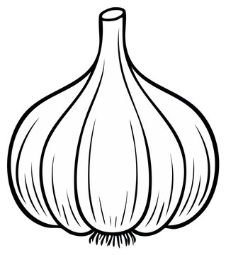 Black outline Garlic illustration, single bulb, vegetable ingredient, fresh whole, vector contour drawing, organic food, isolated flavoring enhancer