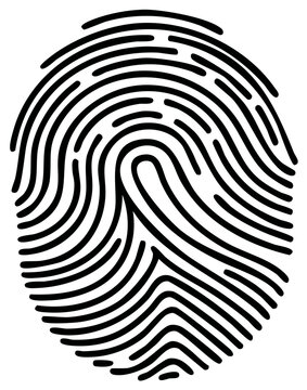 Detailed black and white human fingerprint illustration for security and identity
