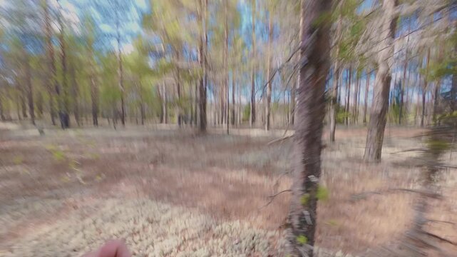 A man in the forest runs away from danger and goes down to the river from the shore. Jogging in the woods. Outdoor activities. Cross-country athlete training. From the first person.