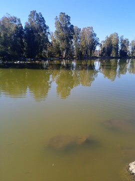 reflection in the water amghass near town azrou in morrocco 