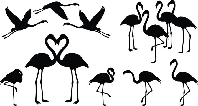 Set of black flamingo silhouettes in various poses including flying standing on one leg and forming a heart shape isolated on white background