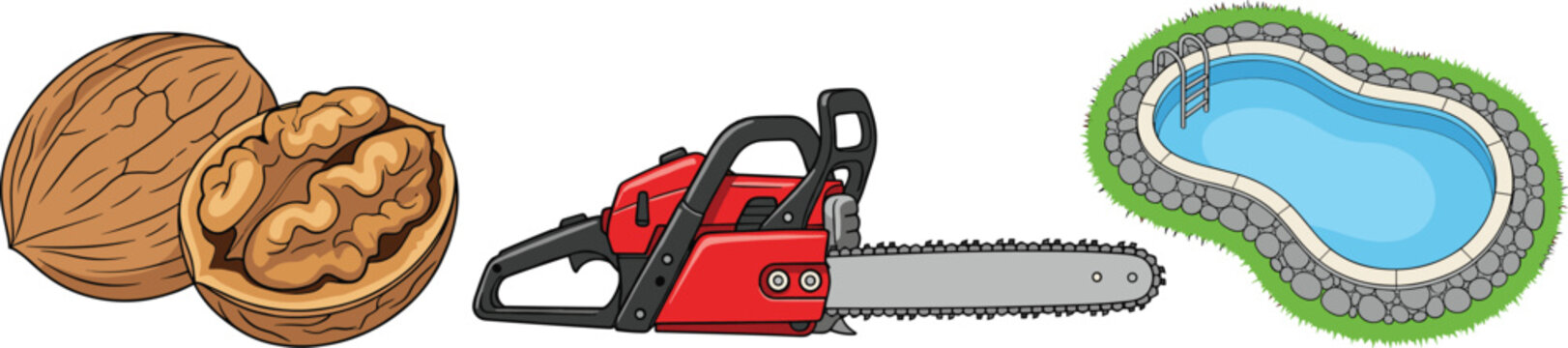 Walnut with Kernel, Red Chainsaw Tool, and Backyard Swimming Pool Vector Illustration Collection Isolated on Background