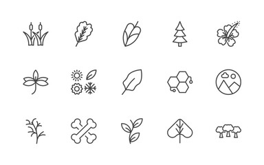nature icon set with reed bed, oak leaf, philodendron, woods signs in flat outline style © Abstract