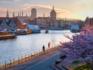 Spring flowers blooming on the trees over the Motlawa river in Gdansk. Poland © Patryk Kosmider