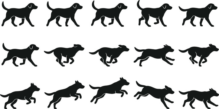 Dog silhouette collection showing different movement stages of walking running and jumping labrador retriever pet animal motion set