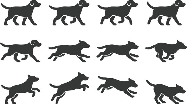Labrador retriever dog silhouettes set showing animation frames of walking running jumping and galloping motion for pet lovers design