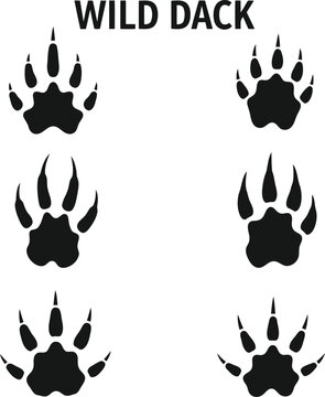 Wild animal paw prints set Vector