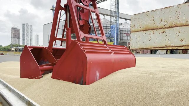 discharging operation. grab take wheat from full ship cargo hold and deliver to berth hopper. grain leaking. gravity clothing grab.