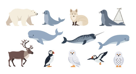 Arctic Animals Collection: Polar Bear, Seals, Narwhal, Reindeer, Owls, Puffins © Heri_s99