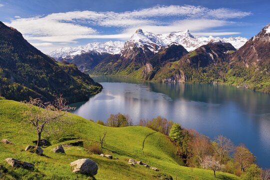 View of Lake Uri and snow-covered mountains Gitschen and Uri-Rotstock, cantons Schwyz and Uri, Switzerland