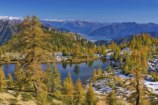 Mountain lake surrounded by autumnal larches, Alpe Salei, Tal Onsernone, Canton Ticino, Switzerland