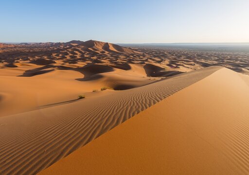 Red sand dunes in the desert, dune landscape Erg Chebbi, Merzouga, Sahara, Morocco