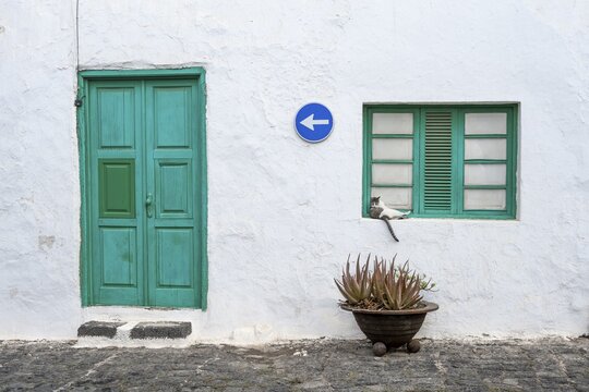 Typical white house with green door and green window with cat, Teguise, Lanzarote, Canary Islands, Spain