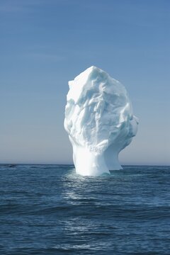 Floating mushroom shaped iceberg, Ocean Harbour, South Georgia, Antarctic