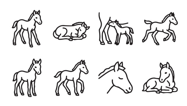 Various foal horse poses with simple line art style for equestrian branding and baby animal concepts