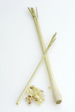 Lemongrass (Cymbopogon citratus)