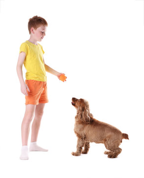 Adorable pet. Child playing with his cute dog on white background