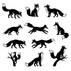 Fototapeta premium Black and white fox silhouette pack featuring various hunting stalking and resting behaviors isolated on plain white backdrop for modern graphic illustrations design elements stickers or branding work