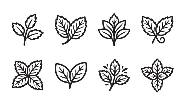 Collection of simple line art botanical leaf icons in a clean graphic design style