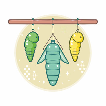 Cute Cartoon Chrysalis and Pupa Stages of Butterfly Metamorphosis