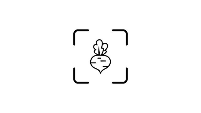 Digital scanning of beet root icon animation with green laser line effect for agricultural food technology and nutrition app interface.