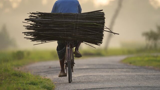 Bogura, Bangladesh - 11 December 2023: View of a man riding a bicycle along a rural road while carrying a large bundle of firewood on the back.
