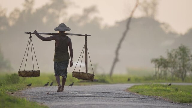 Bogura, Bangladesh - 11 December 2023: View of a worker carrying baskets on a wooden yoke while walking along a rural road through misty green fields.
