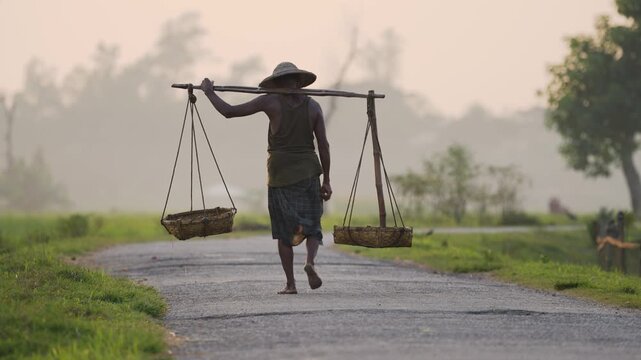 Bogura, Bangladesh - 11 December 2023: View of a man carrying baskets on a bamboo yoke while walking along a rural road through green fields at dawn.