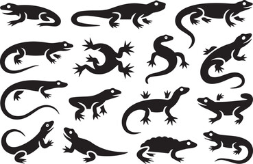 Fototapeta premium Black and white line art illustration of various lizards and salamanders