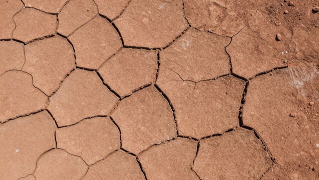 Cracked ground displaying drought in barren landscape