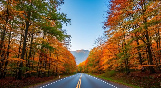 Discover the vibrant allure of autumn's embrace on a scenic road, where nature's colorful masterpiece guides a serene and beautiful seasonal journey