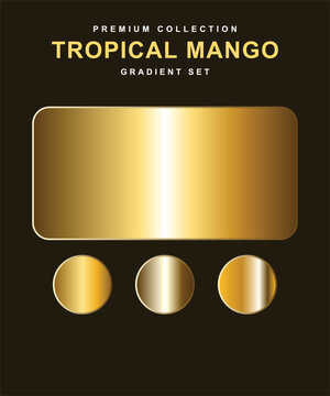 Tropical mango gold gradient set collection. Featuring rounded rectangle and circles with metallic yellow and orange swatches. Professional design tool for UI.