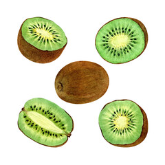 Fototapeta premium A set of watercolor illustrations of kiwi fruit. Tropical fruit drawings, organic designs, fresh kiwi illustrations, and healthy food illustrations.