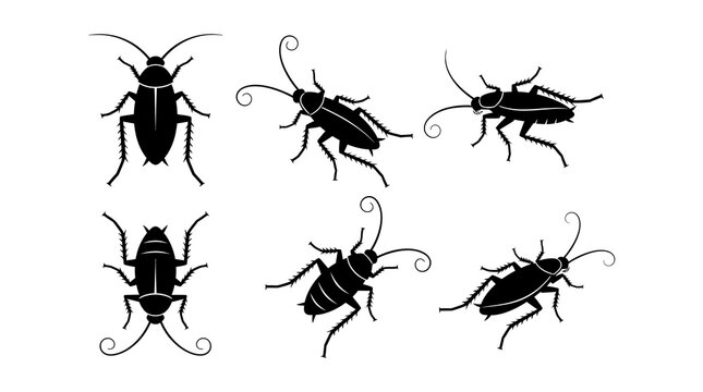 Insect beetles silhouettes collection - diverse bugs and critters icons