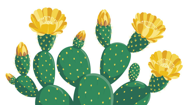 Green prickly pear cactus pads with vibrant yellow blooming flowers are displayed against a clean white background in a detailed flat vector illustration design style.