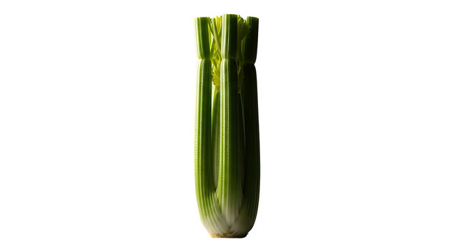 Fresh green celery stalk standing upright isolated on transparent background